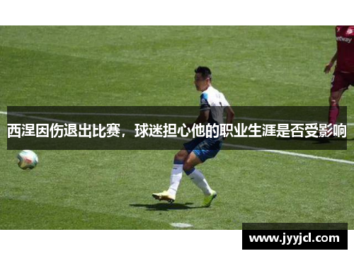 西涅因伤退出比赛，球迷担心他的职业生涯是否受影响